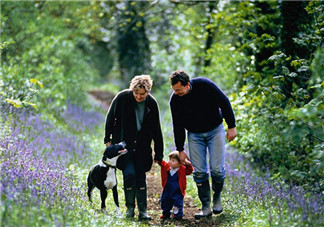 趙薇如何教育出乖巧小四月？趙薇的育兒經(jīng)是什么？