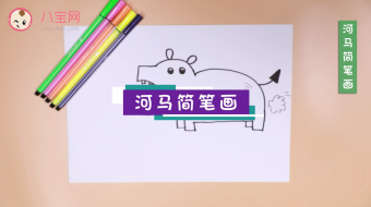河馬簡筆畫視頻   河馬簡筆畫步驟教程